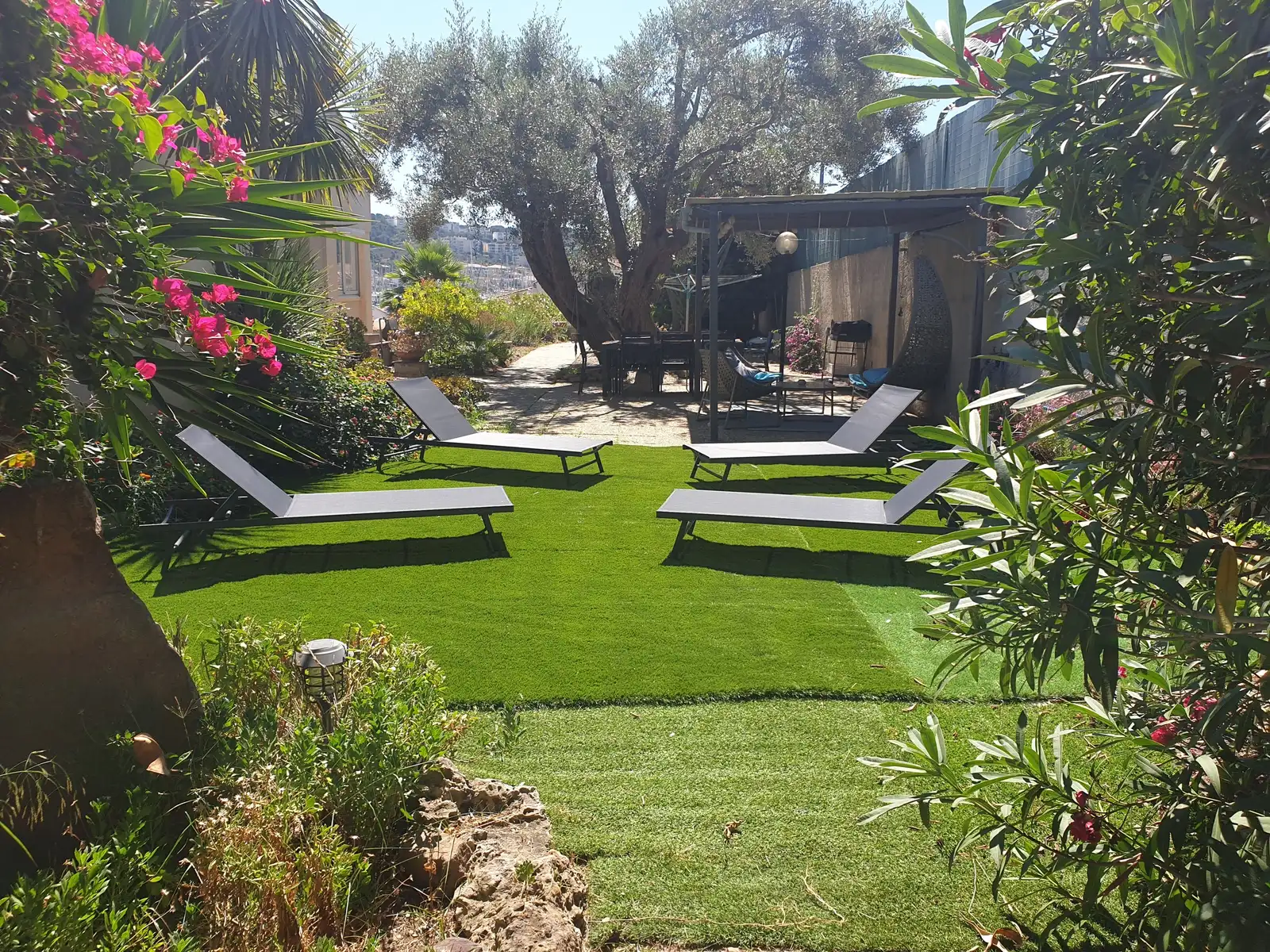 Jardin avec transats, lauriers-roses et olivier