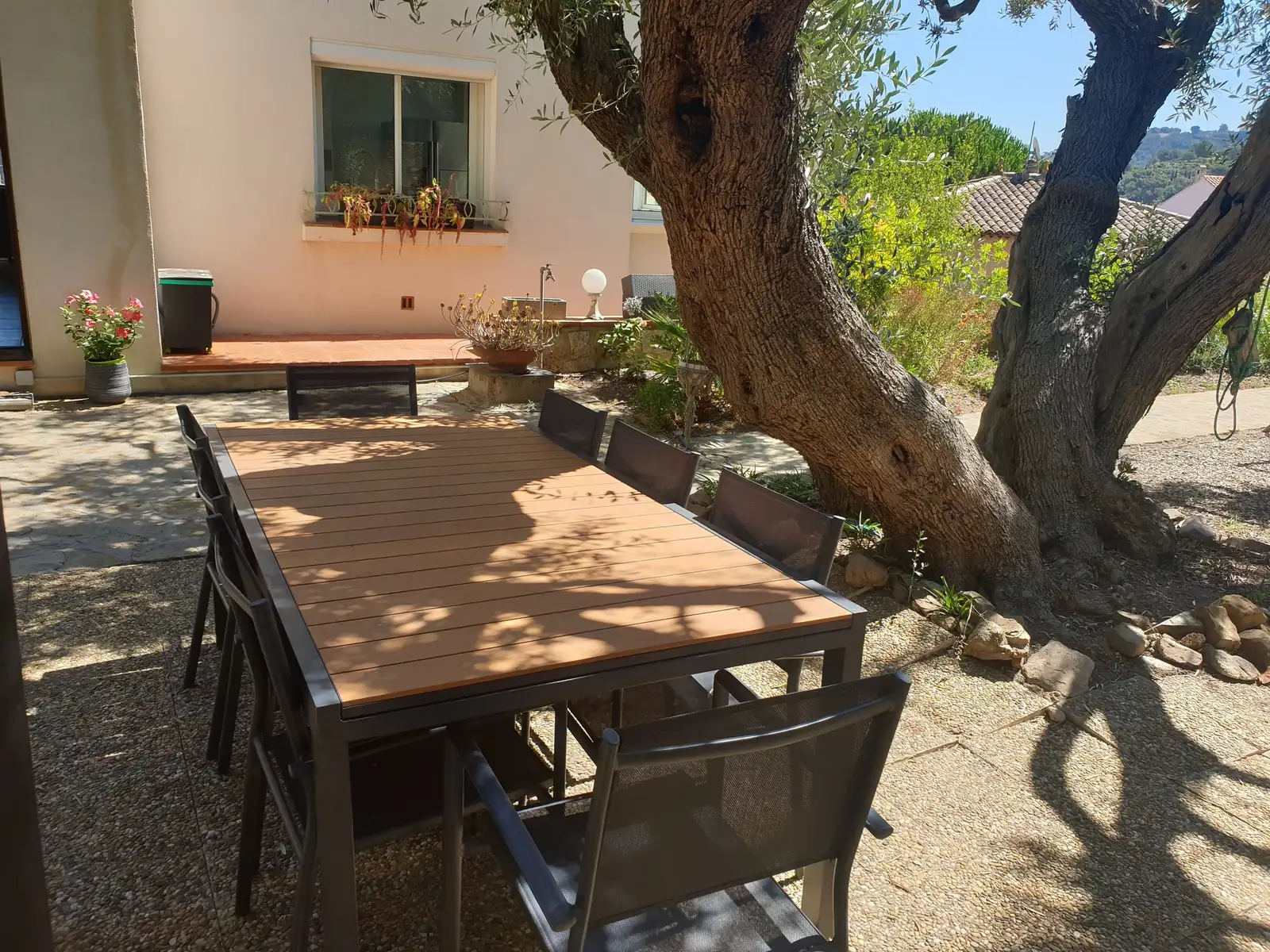 Grande table de jardin à l’ombre d’un olivier